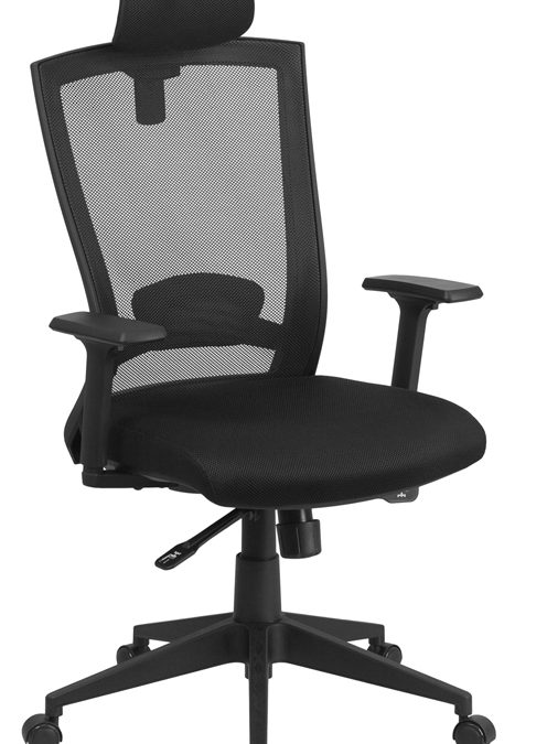 High Back Mesh Executive Swivel Ergonomic Office Chair with Back Angle Adjustment and Adjustable Arms – Orlando