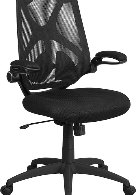 High Back Mesh Executive Swivel Ergonomic Office Chair with Adjustable Lumbar, 2-Paddle Control and Flip-Up Arms – Orlando