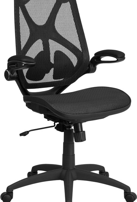 High Back Mesh Executive Ergonomic Office Chair with Adjustable Lumbar, 2-Paddle Control & Flip-Up Arms – Orlando
